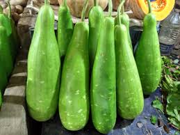 Bangla Bottle Gourd